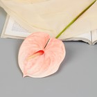 Цветы искусственные "Антуриум" 60 см, светло-розовый - фото 9636005