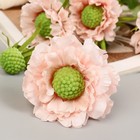 Цветы искусственные «Махровый гибискус», h=82 см, розовые - Фото 2