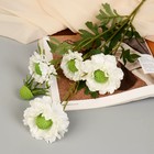 Цветы искусственные "Махровый гибискус" 82 см, белый - фото 320307304