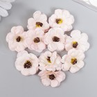 Бутон на ножке для декорирования "Примула" персиковая d=3 см - Фото 3