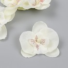 Бутон на ножке для декорирования "Орхидея белая" d=5,5 см - фото 320660441