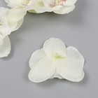 Бутон на ножке для декорирования "Орхидея белая" d=5,5 см - фото 23251864