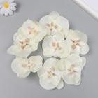 Бутон на ножке для декорирования "Орхидея белая" d=5,5 см - фото 23251865