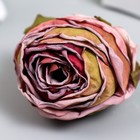 Бутон на ножке для декорирования "Пионовидная роза благородное вино" 4х5 см - Фото 3