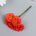 Цветы для декорирования "Хризантемы коралловые" 1 букет=6 цветов 10 см - Фото 2