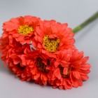 Цветы для декорирования "Хризантемы коралловые" 1 букет=6 цветов 10 см - Фото 3
