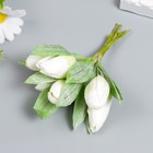 Цветы для декорирования "Заснеженные белые тюльпаны" 1 букет=6 цветов 14 см - Фото 2