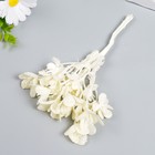 Декор для творчества «Каланхоэ белое», 16.5 см (комплект 4 шт) - фото 47139551