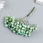 Декор для творчества "Соцветие с светло-зелёными шариками" d=0,6 см 1 букет=6 цветов 11 см 7516675