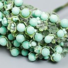 Декор для творчества "Соцветие с светло-зелёными шариками" d=0,6 см 1 букет=6 цветов 11 см 7516675