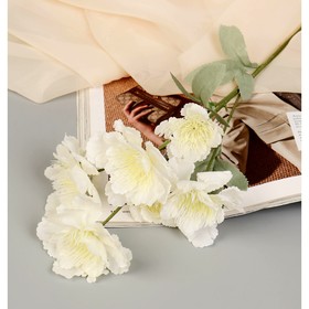 Цветы искусственные 'Бегония Вайт' 60 см, белый