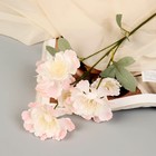 Цветы искусственные "Бегония Вайт" 60 см, розовый - фото 319806390
