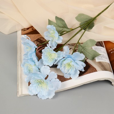 Цветы искусственные «Бегония Вайт», h=60 см, голубые