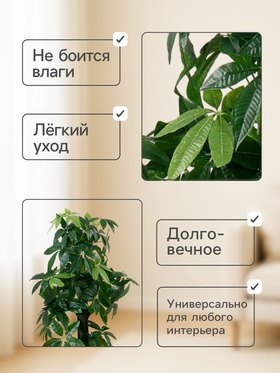 Дерево искусственное «Пахира водная», h=150 см