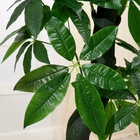 Дерево искусственное «Пахира водная», h=150 см - фото 51740796