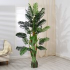 Дерево искусственное "Финиковая пальма" 170 см - фото 9764779