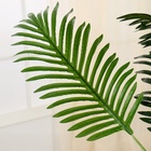 Дерево искусственное «Финиковая пальма», h=170 см - Фото 4