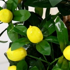 Дерево искусственное «Лимонное дерево», h=170 см - Фото 4