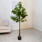 Дерево искусственное «Дерево вечнозелёное» 160 см - фото 2092947