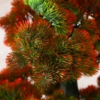 Дерево искусственное «Бонсай Кабудати», h=70 см 7559466