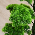 Дерево искусственное «Бонсай Кабудати», h=70 см - Фото 6