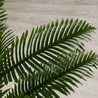 Дерево искусственное «Блехнум», h=140 см - Фото 4