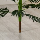 Дерево искусственное "Пальма Хамедорея" 100 см - фото 6565259