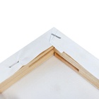 Холст на подрамнике, хлопок 100%, 1.6×24×30 см, акриловый грунт, мелкозернистый, 280 г/м² - Фото 5