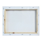 Холст на подрамнике, хлопок 100%, 1.6×20×25 см, акриловый грунт, мелкозернистый, 280 г/м² - Фото 4