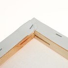 Холст на подрамнике, хлопок 100%, размер 1,6 х 40 х 60 см, акриловый грунт, акриловый грунт, мелкозернистый, 280 г/м² - фото 24616643