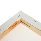 Холст на подрамнике, хлопок 100%, 1.6×90×120 см, акриловый грунт, среднезернистый, 380 г/м² - Фото 5