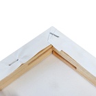 Набор холстов на подрамнике, 4 штуки, хлопок 100%, размер (25×25, 30×40, 40×50, 50×60 см), акриловый грунт, мелкозернистый, 280 г/м² - Фото 5