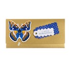 Конверт для денег "С Днем Рождения!" синяя бабочка - фото 9636858