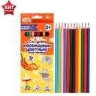 УЦЕНКА Карандаши Calligrata, цветные, 12 цветов, шестигранные, пластиковые 7789946