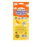 УЦЕНКА Карандаши Calligrata, цветные, 12 цветов, шестигранные, пластиковые 7789946