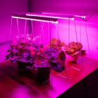 Фитосветильник светодиодный, 9 Вт, 570 мм, линейный, фиолетовый спектр - Фото 3