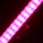 Фитосветильник светодиодный, 14 Вт, 872 мм, IP20, сине-красный спектр, фиолетовый, FITO-14W-Т5-N, «ЭРА» - фото 7896717
