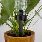 Автополив для комнатных растений, под бутылку, регулируемый - Фото 5
