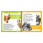 Обучающая книга с фактами «Знакомимся с животными», 19 × 19 см, 32 стр., Маша и Медведь - фото 6565514