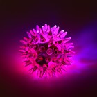 Мяч для кошек мини, TPR, 3.5 см, светящийся, цвет фуксия - Фото 2