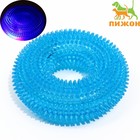 Игрушка светящаяся для собак "Жевательное кольцо", TPR,  12 см, голубая - фото 6565564