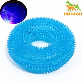 Игрушка светящаяся для собак 'Жевательное кольцо', TPR,  12 см, голубая