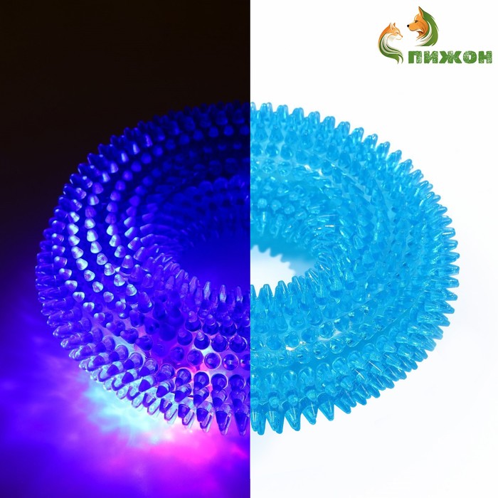 Игрушка светящаяся для собак "Жевательное кольцо", TPR, 12 см, голубая - Фото 1