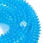 Игрушка светящаяся для собак "Жевательное кольцо", TPR, 12 см, голубая - Фото 4