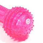 Игрушка светящаяся для собак "Круглая кость", TPR, 15 см, розовая - фото 7257707