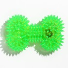 Игрушка для собак "Светящаяся кость", TPR, 10,5 см, зелёная - фото 6565573