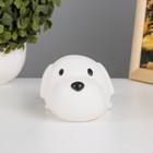 Ночник "Маленькая собачка" LED от батареек 3xLR44 белый 14,5х8 см RISALUX - фото 21527270