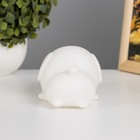 Ночник "Маленькая собачка" LED от батареек 3xLR44 белый 14,5х8 см RISALUX - фото 21527271