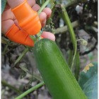 Напальчник с лезвием + 4 защитных напальчника, для сбора урожая, Greengo - Фото 5