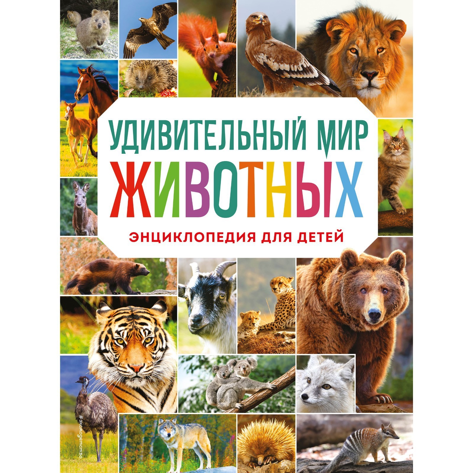 Детский проект мир животных